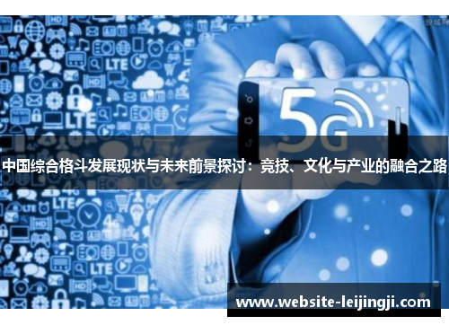 中国综合格斗发展现状与未来前景探讨：竞技、文化与产业的融合之路